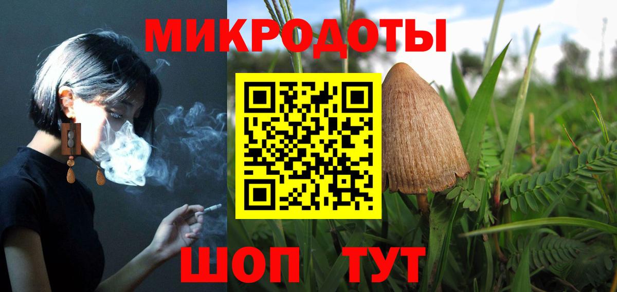 Псилоцибиновые грибы Magic Shrooms Городец