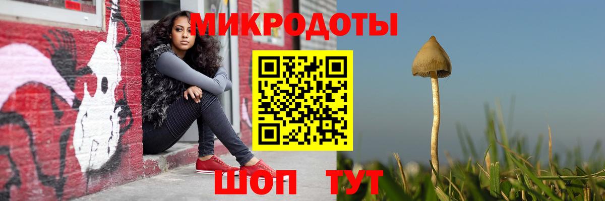 Галлюциногенные грибы прущие грибы  Вход с VPN  где можно купить   Городец 
